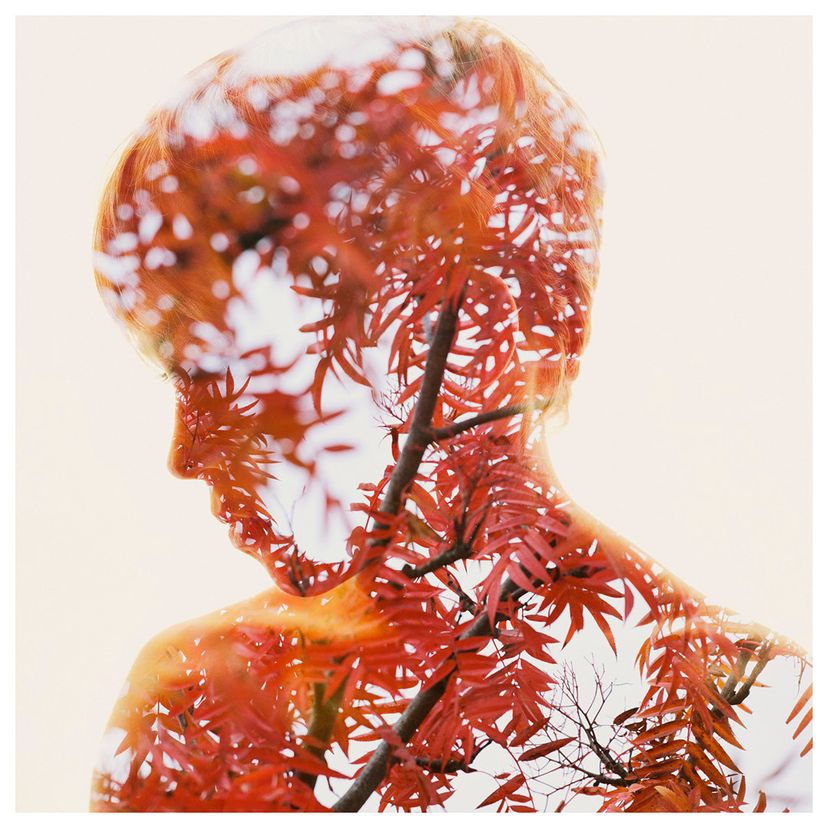 Christoffer Relander’s “We Are Nature” Series: An Enchanting Blend of ...
