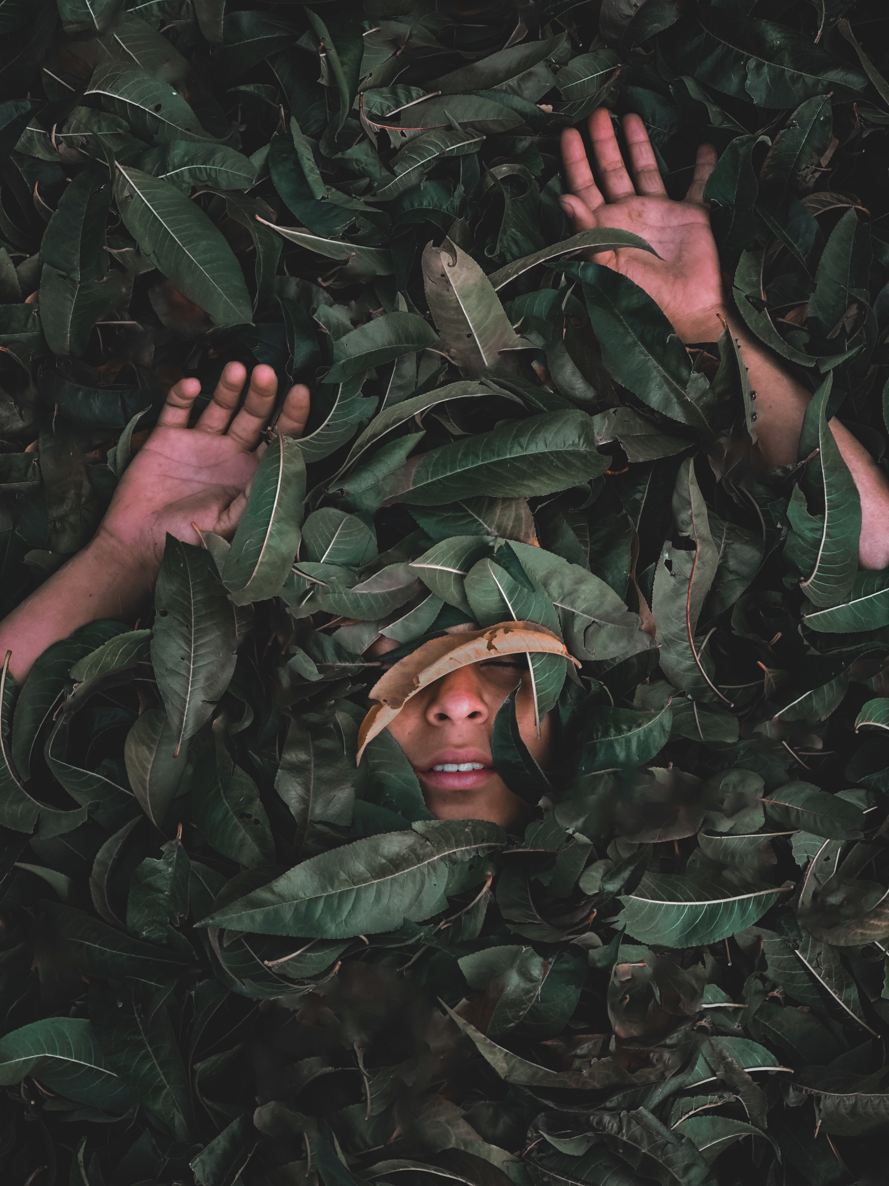 Eco-Creativity: Transforming the Art World with Sustainable Practices